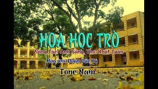 karaoke Hoa Học Trò tone Nam🎤 [upl. by Aisyle]