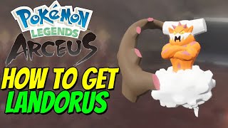 How to get LANDORUS in Pokémon Legends Arceus [upl. by Etat937]