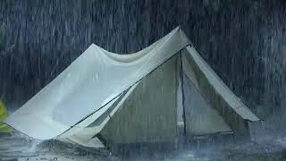 99 Instantly Deep Sleep with Thunderstorm Sounds  Natural Heavy Rain on Tent amp Powerful Thunder [upl. by Lesiram769]