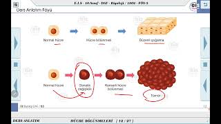 10 Sınıf Biyoloji  Hücre Bölünmeleri  3 🔬 [upl. by Negam]