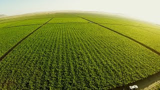 Agricultura de Presición en Argentina  TvAgro por Juan Gonzalo Angel [upl. by Happ]