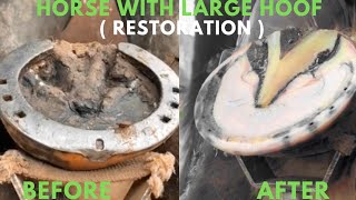 Shire Horse  Tutorial Complete Restoration  Satisfying  Asmr  Trimming Overgrown Hooves [upl. by Gershom881]