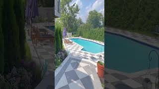 Patio and Poolside Planting Here is our Backyard Oasis [upl. by Leavelle]