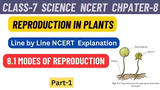 Class 7 Science Chapter 8 Reproduction in Plants line by line NCERT Explanation  Part 1 [upl. by Enilram]