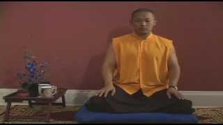 Meditation Instruction From Turning the Mind into an Ally Sakyong Mipham Rinpoche Shambhala [upl. by Adnov]