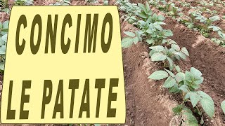 COME CONCIMARE e RINCALZARE le PATATE [upl. by Eissert]