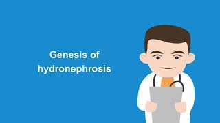 How to diagnose hydronephrosis with the help of ultrasound [upl. by Ekusuy]