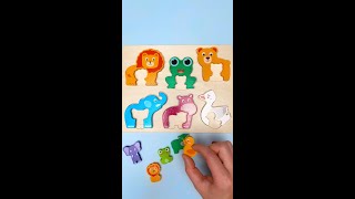 Baby Animals Names amp Facts For Toddlers kidslearning [upl. by Imiaj]