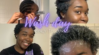 MY EASY WASH DAY ROUTINE  NATURAL HAIR  4C LOW POROSITY  ALLYTWIX [upl. by Wang952]