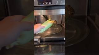 Viral trick of husking corn in the microwave shorts [upl. by Ellesor]