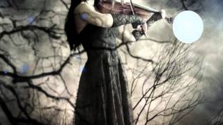 Song Of The Caged Bird  Lindsey Stirling [upl. by Irol499]