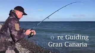 Bluefish Shore Guiding Gran Canaria [upl. by Anhaj751]