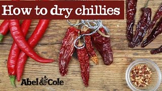 How to dry chillies  Abel amp Cole [upl. by Cirtap330]