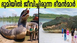 ഇന്ന് ഈ ഭൂമിയിൽ ഈ ഭീകരജീവികൾ ഇല്ല കാരണം Why Dinosaurs did not exist Now [upl. by Starks290]