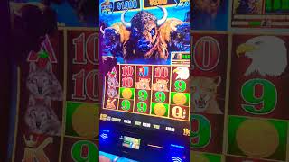 Huge hit lightning lightning buffalo 🎰 youtubeshorts slot [upl. by Animsaj]