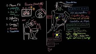 Hypertension artérielle  HTA  Docteur Synapse [upl. by Odranreb]