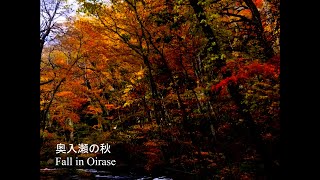 奥入瀬の秋 quotFall in Oirasequot Official Visualizer [upl. by Cirted]