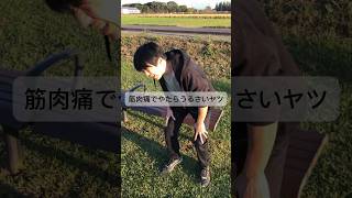 筋肉痛でやたらうるさいヤツ sports 筋肉あるある [upl. by Oker]