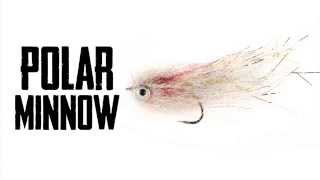 Polar Minnow Fly Tying Tutorial [upl. by Nytsirc]