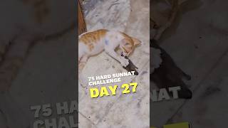 Billi ￼Ka Bacha Aur Aaj Ka Naujawan 😢  75 Hard Sunnat Challenge Day 27 😍 muzaffarruhani shorts [upl. by Alletsyrc]