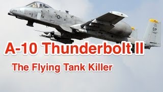 Enemies like ISIS hide when the A10 Thunderbolt II aka Warthog is Flying Above [upl. by Hesper]