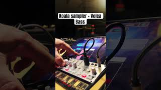 Koala sampler  Volca bass jam [upl. by Gilberto228]