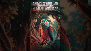 Animals who can understand human language animals youtubeshorts [upl. by Aloise]