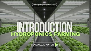 Introduction to Hydroponic farming  All about hydroponic  Learning Basic to Growing Without Soil [upl. by Vonni710]