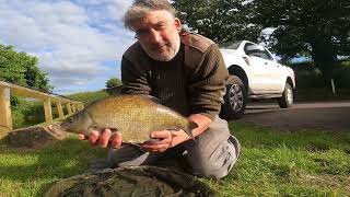 Evening session on the Tiverton Canal catching bream and tench [upl. by Gninnahc]