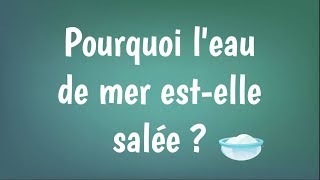 Pourquoi la mer estelle salée [upl. by Anirret]