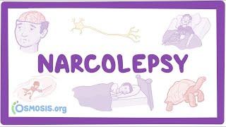 Narcolepsy NORD  causes symptoms diagnosis treatment pathology [upl. by Eseryt]