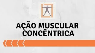 Ação muscular concêntrica 3 [upl. by Ytirahc363]