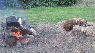 Pupper Wild Camp Yellow water picnic area Mourne mountains [upl. by Valdis]