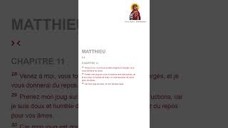 Matthieu 112830  Chrétiens spirituality biblestudy jesuschrist jesus bibleverse faith god [upl. by Nohsram]