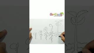 How to Draw Germination Shorts [upl. by Etak293]