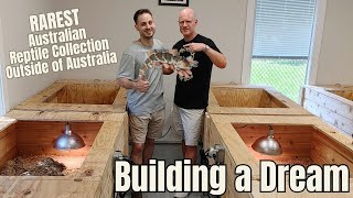 Super Rare Australian Reptile Breeding Facility  Shingleback Skink Heaven [upl. by Frentz]