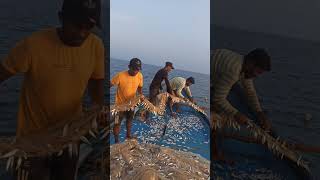 Kavala new video fishing teppa ela vuntudi vc fishing [upl. by Shotton845]