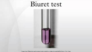 Biuret test [upl. by Weinstein]