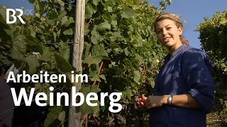 Winzerin  Ausbildung  Beruf  Ich machs  BR [upl. by Novelc]