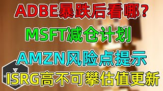 美股 ADBE暴跌后看哪？MSFT减仓计划！AMZN风险点提示！ISRG高不可攀估值更新！VIX四月可能大幅攀升！ [upl. by Gerrilee]