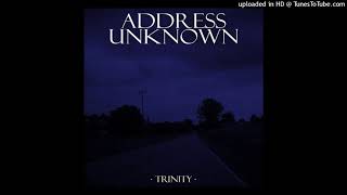 Address Unknown  Trinity US Goth Rock 2009 [upl. by Hacker511]