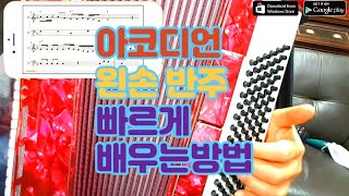 섬마을 선생님  아코디언 왼손 베이스 연습 빨리 배우는 방법 [upl. by Bearce]