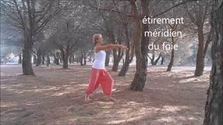 QI GONG Etirements dynamiques des méridiens par MarieChristine [upl. by Xuerd]