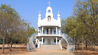 1642024 KADAPA  RAMAPURAM MOTHER Marys eyes shed tears StPADREPIO CHURCH [upl. by Rosenquist426]