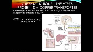 Hyperkinetic Movement Disorders [upl. by Eidaj56]