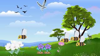 Kids poem Honeybee Song Safari [upl. by Eve]