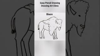 How To Draw A Bison  drawingartclinic drawing shorts arte stepbystepdrawing [upl. by Cohette221]