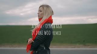 🎧 Агутин  Остров RampB DJ DANI WOO Bass remix [upl. by Spatz]