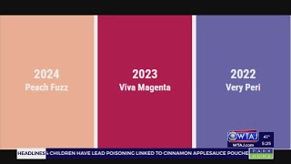 Here are the Colors of the Year for 2024 from Pantone and SherwinWilliams [upl. by Enawtna]