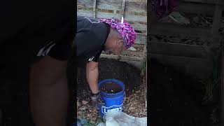 composting 101 Bacteria Worms amp Bugs [upl. by Enivid71]